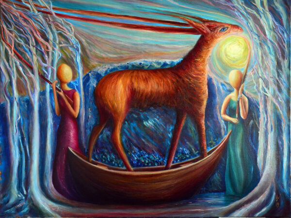 Shelter